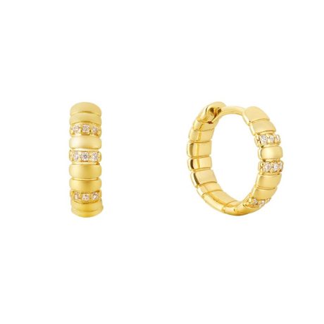 Snake bone earrings